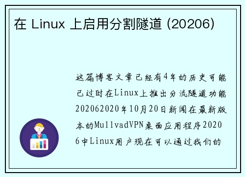 在 Linux 上启用分割隧道 (20206) 